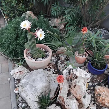 Apartmán Dvorak Vir