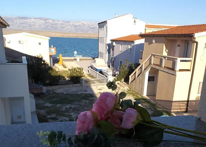 Dvorak Lägenhet Vir