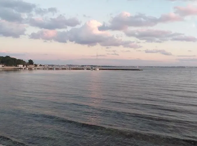 Dvorak Lägenhet Vir